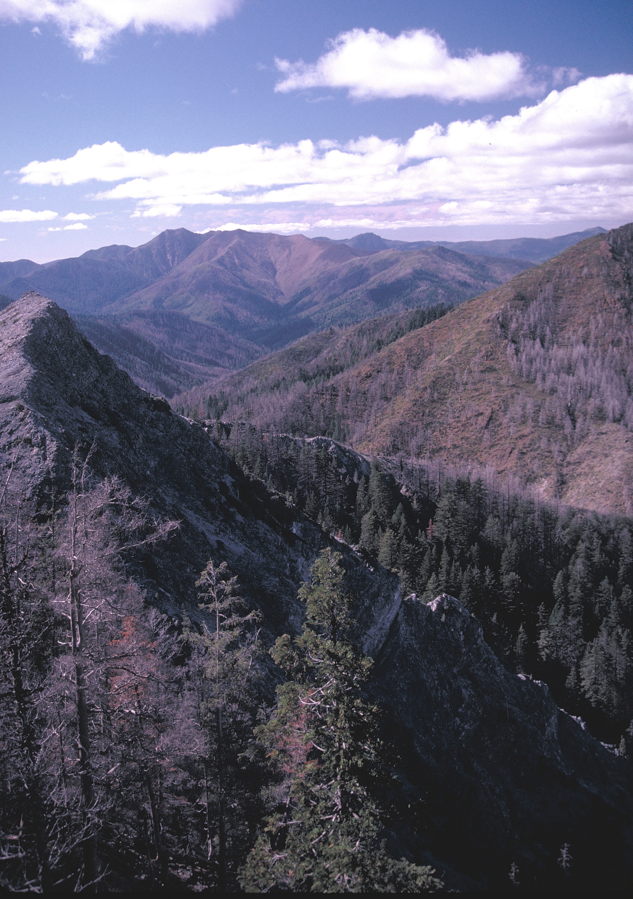 Kalmiopsis Wilderness.