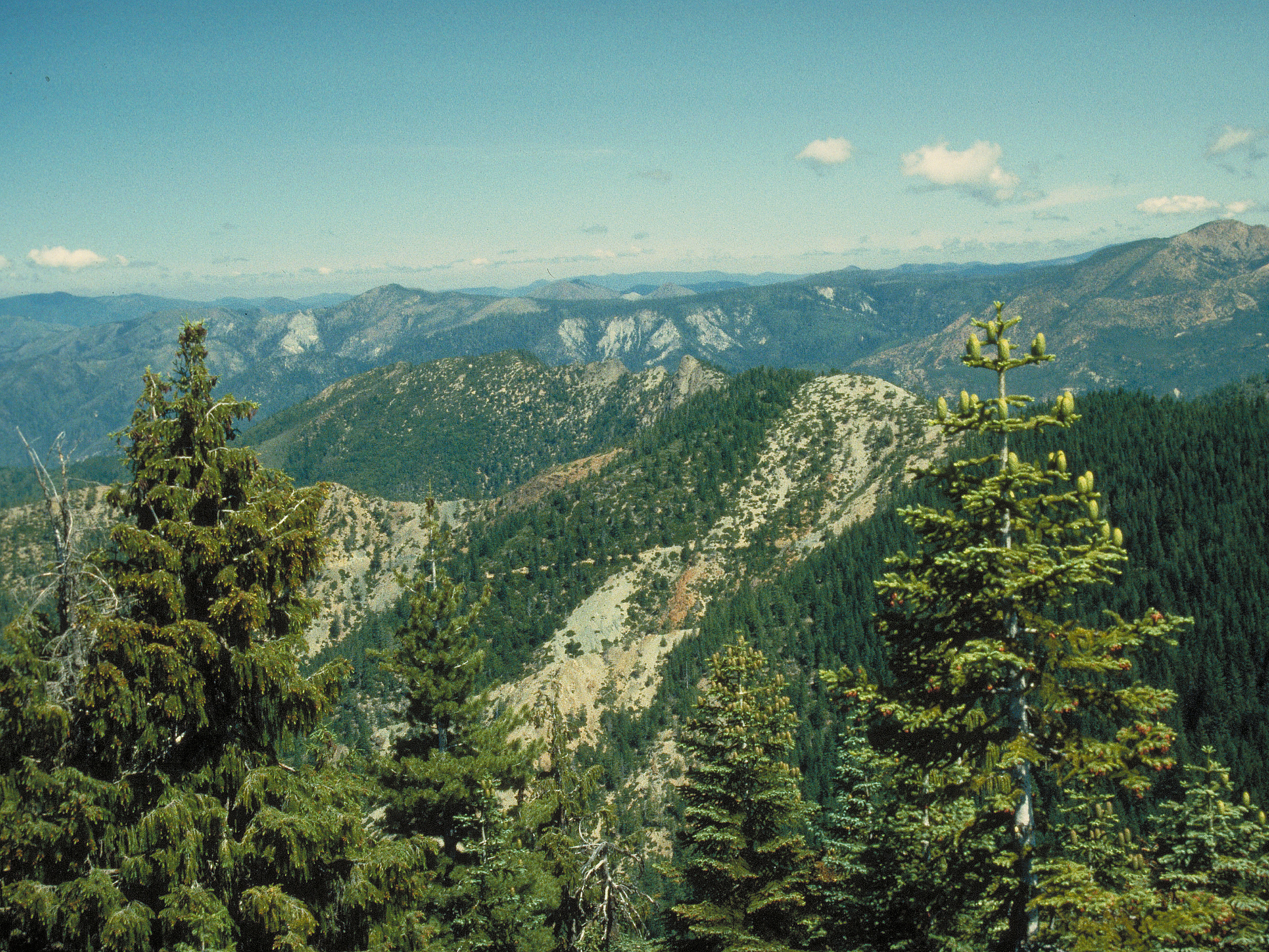 Kalmiopsis Wilderness.