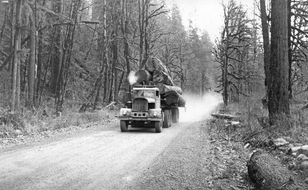 Snow Peak Logging Company truck loaded with Douglas fir logs, 1944.