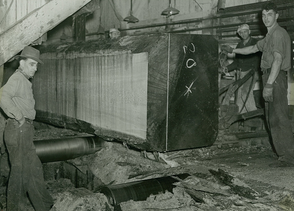 Willamette Industries lumber mill, interior.