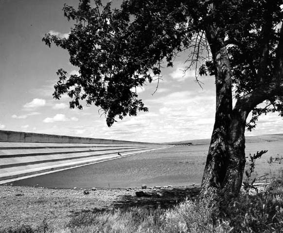 Upstream face of McKay Dam, June 1975.