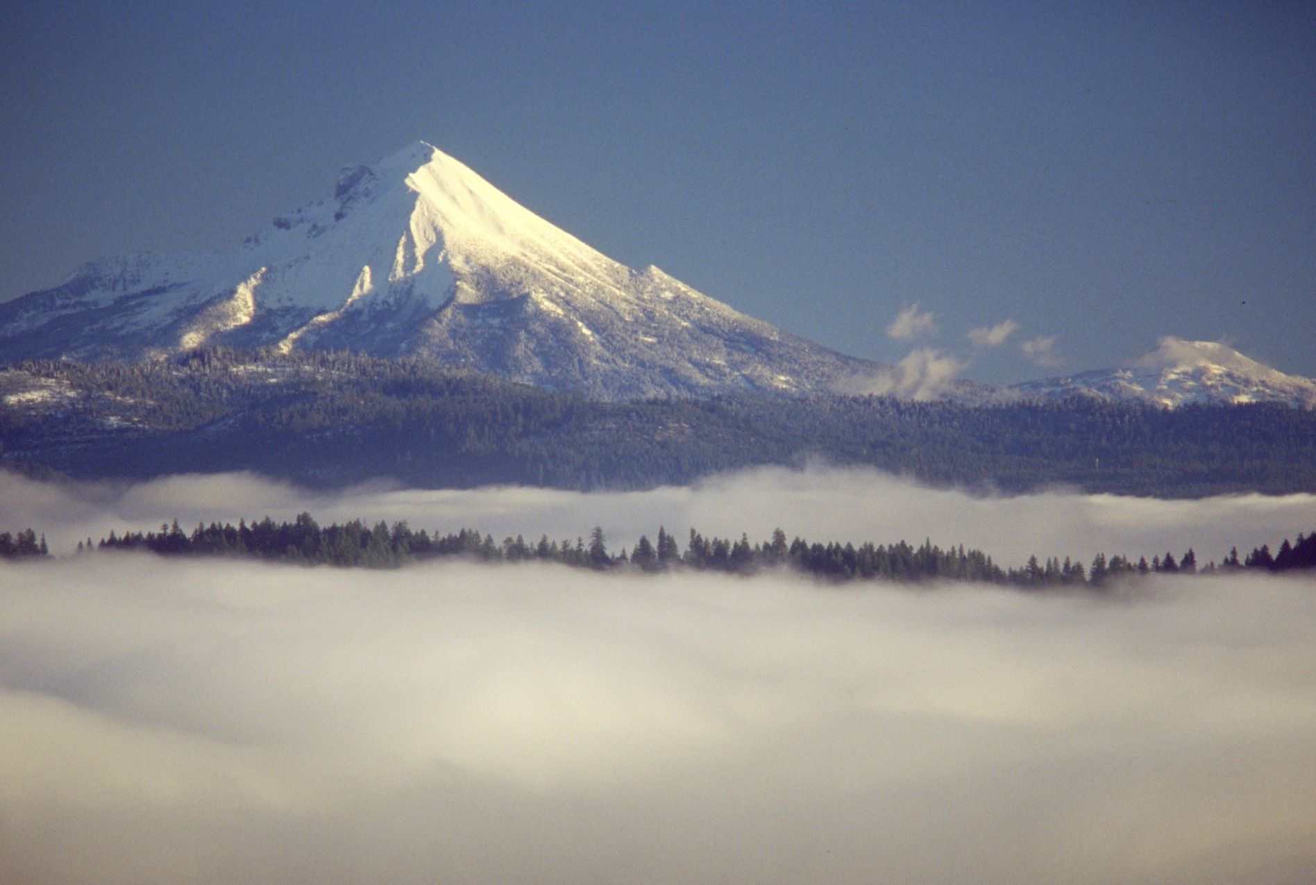 Last light on Mount McLoughlin, from West Branch Elk Creek, Jackson County.