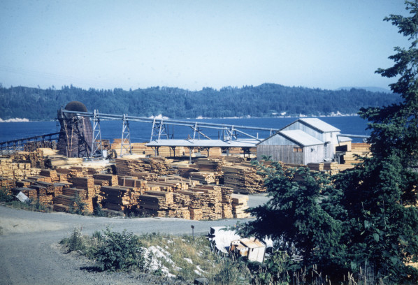McLean Point, Newport, July 1953.