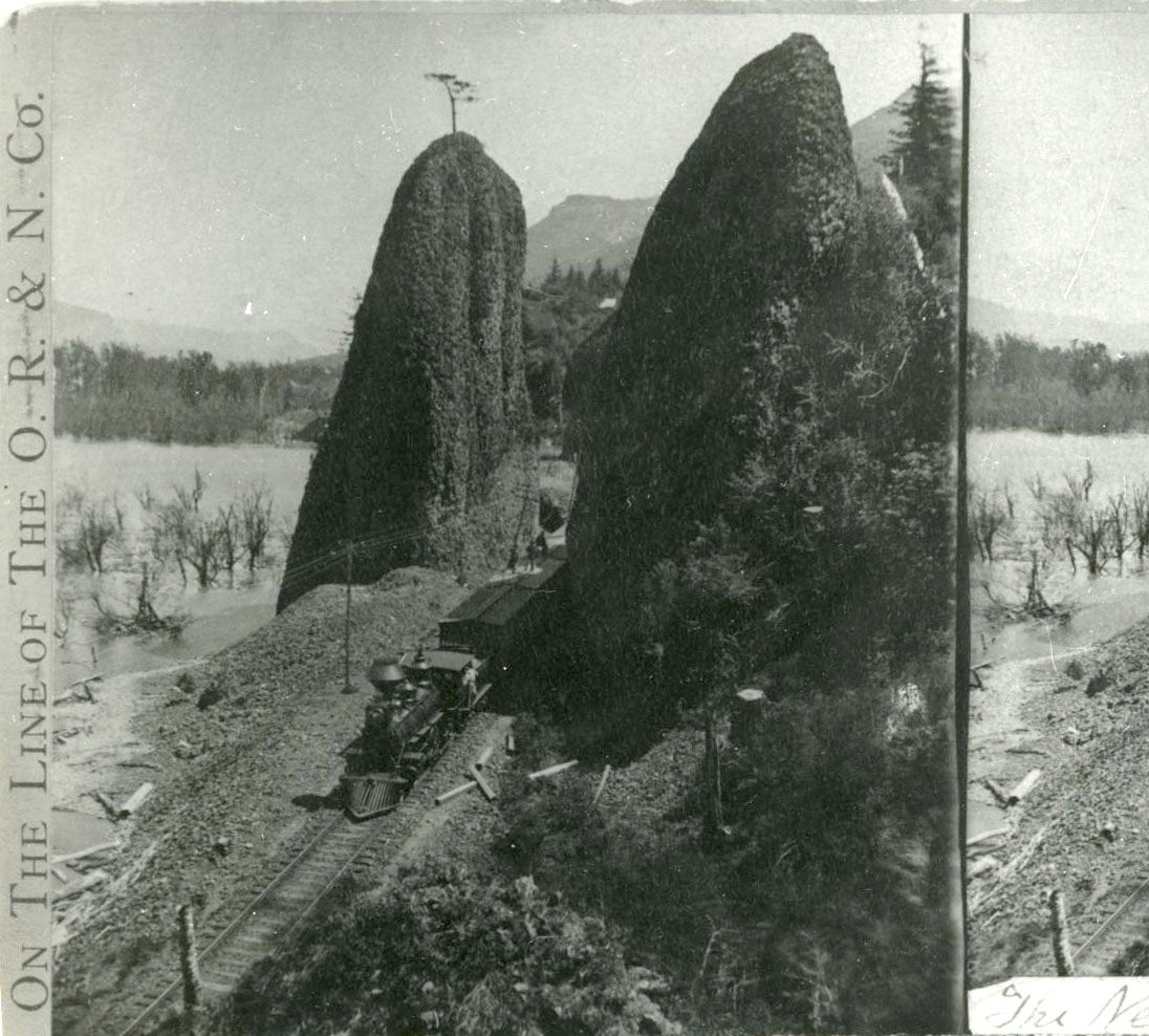 Photo by Martin Hazeltine