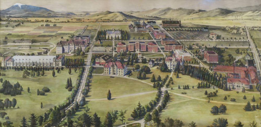 Oregon State University — Story