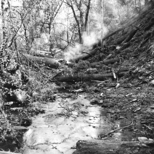 South Sister Creek after Oxbow Fire, late Aug. 1966.