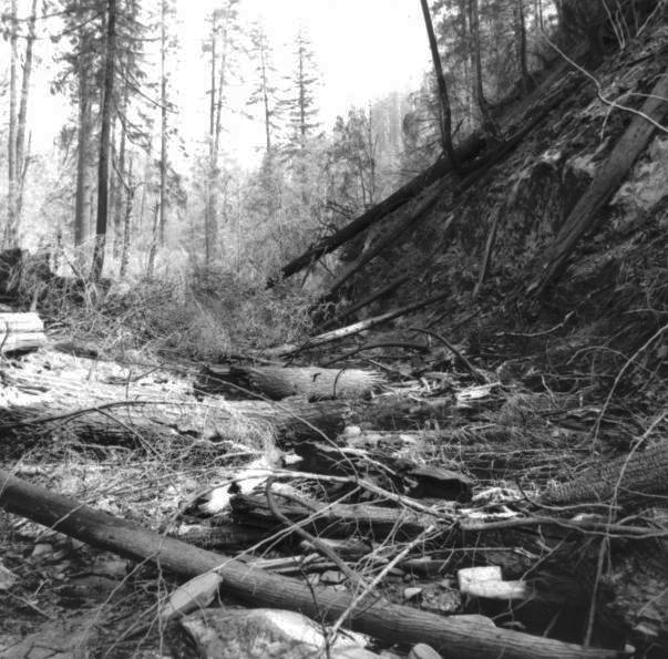 South Sister Creek after Oxbow Fire, late Aug. 1966.