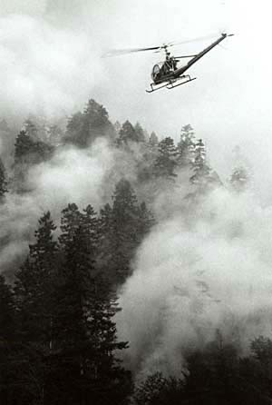 Oxbow Ridge Fire of 1966