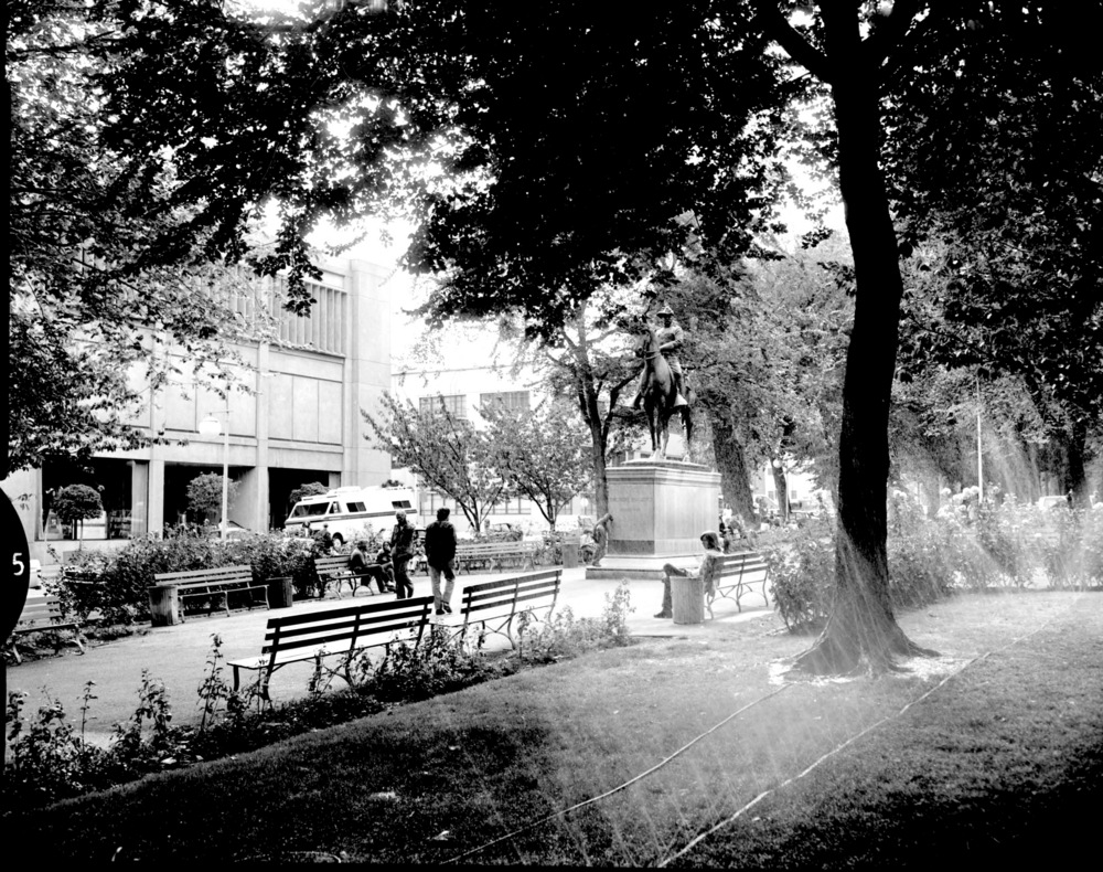 Park Blocks Portland Oregon: Unveiling the City's Vibrant Soul