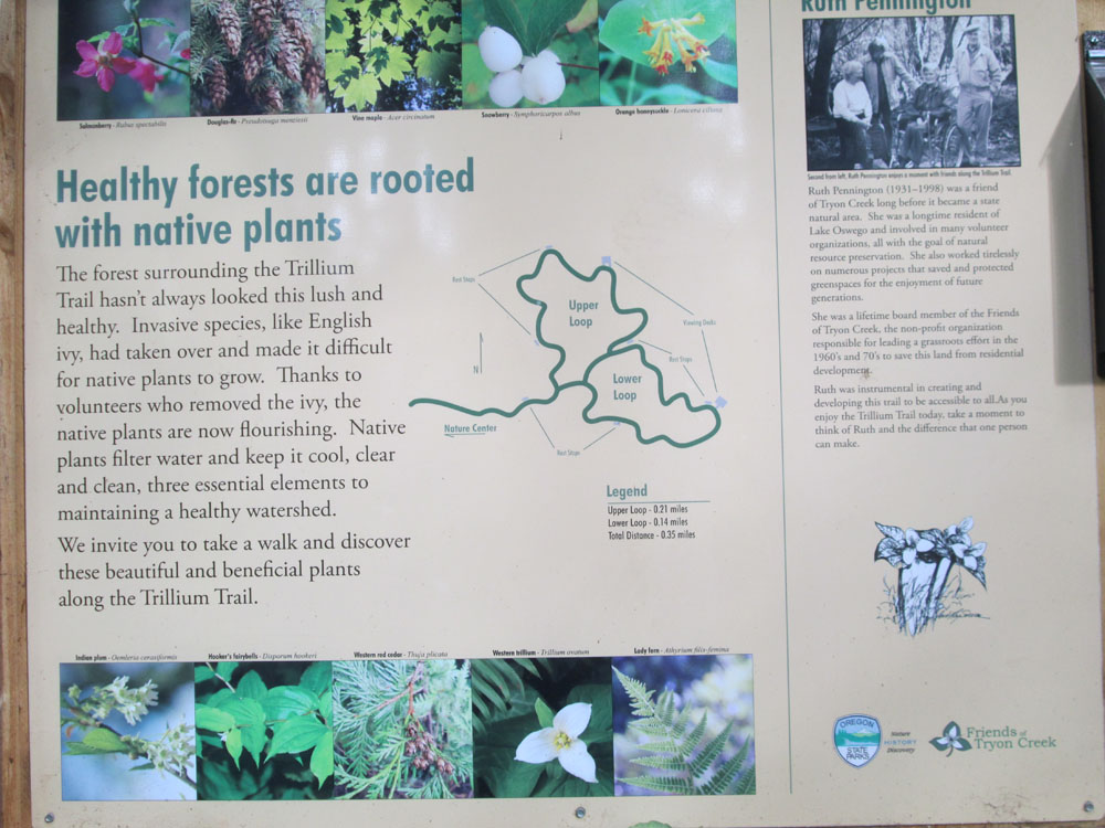 Tryon State Park trails