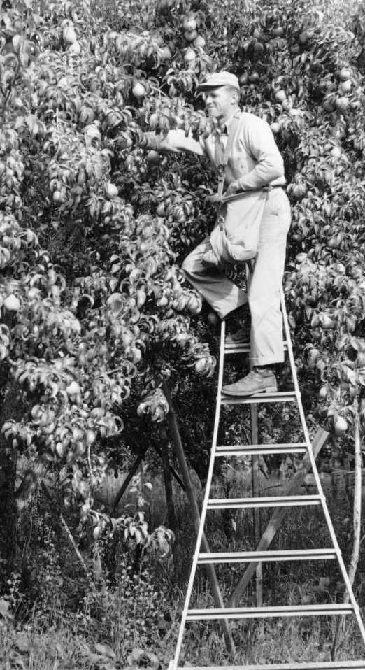 Jerry Routson of Parkdale, Oregon, in the Hood River Valley.