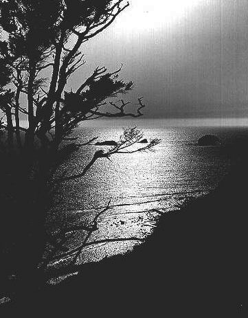 Northwesterly view south of Humbug Mountain near Port Orford, July 1952.