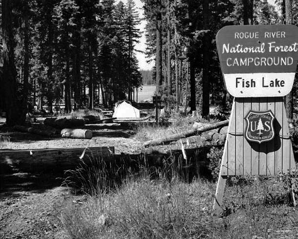 Rogue River National Forest Campground at Fish Lake, July 1970.