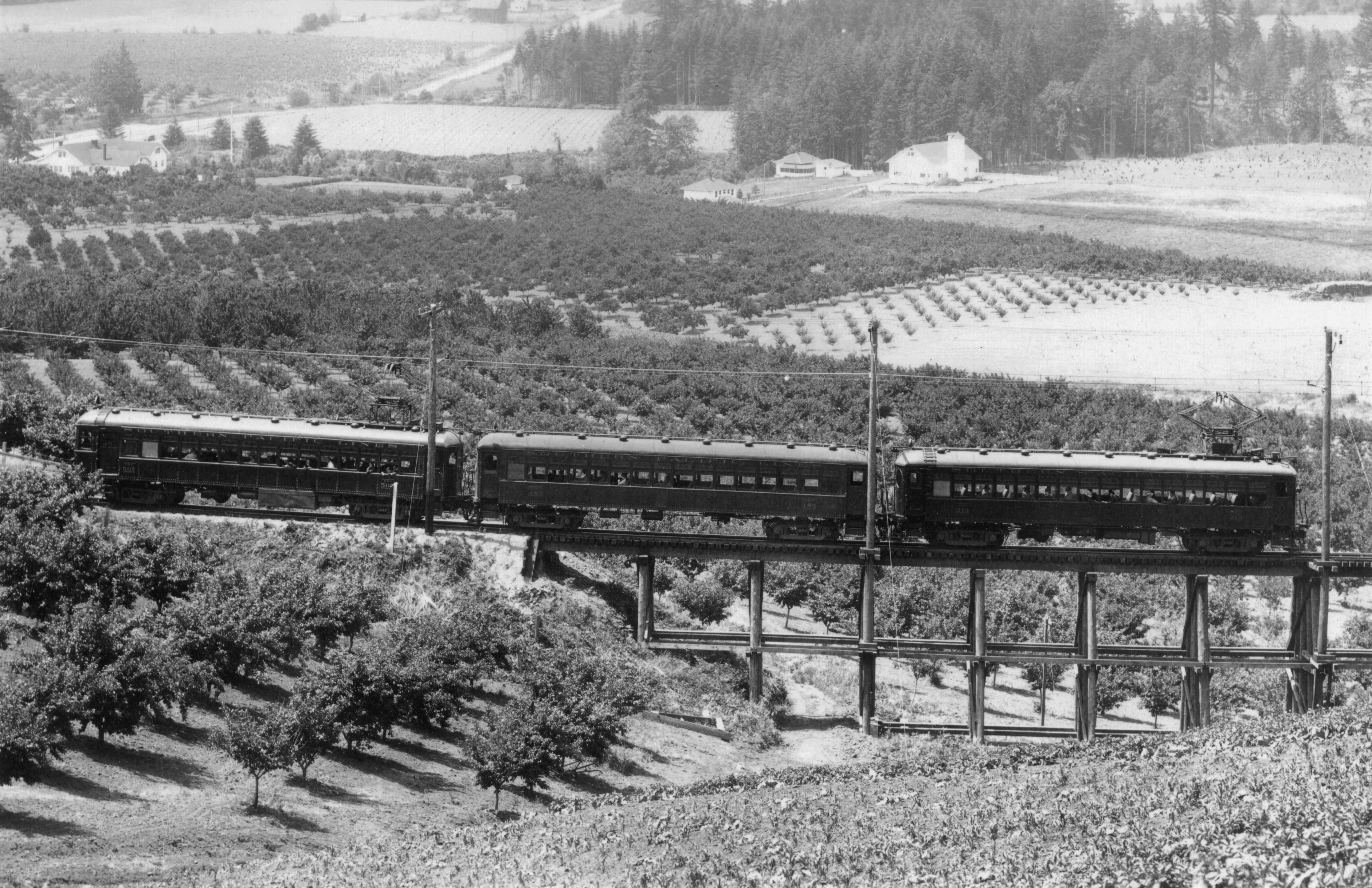 Standard three-car Red Elec train near Rex, 1925
