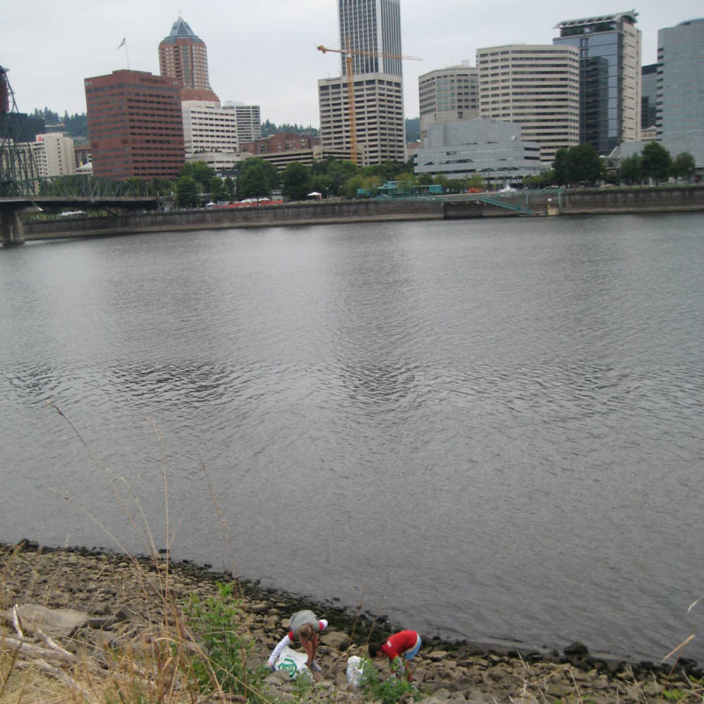 SOLV volunteers at First Annual Riverfest Willamette Cleanup along Portland's Eastbank Esplanade, August 2008.