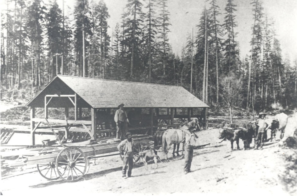 George Saum's sawmill on Borland Rd., c.1890s