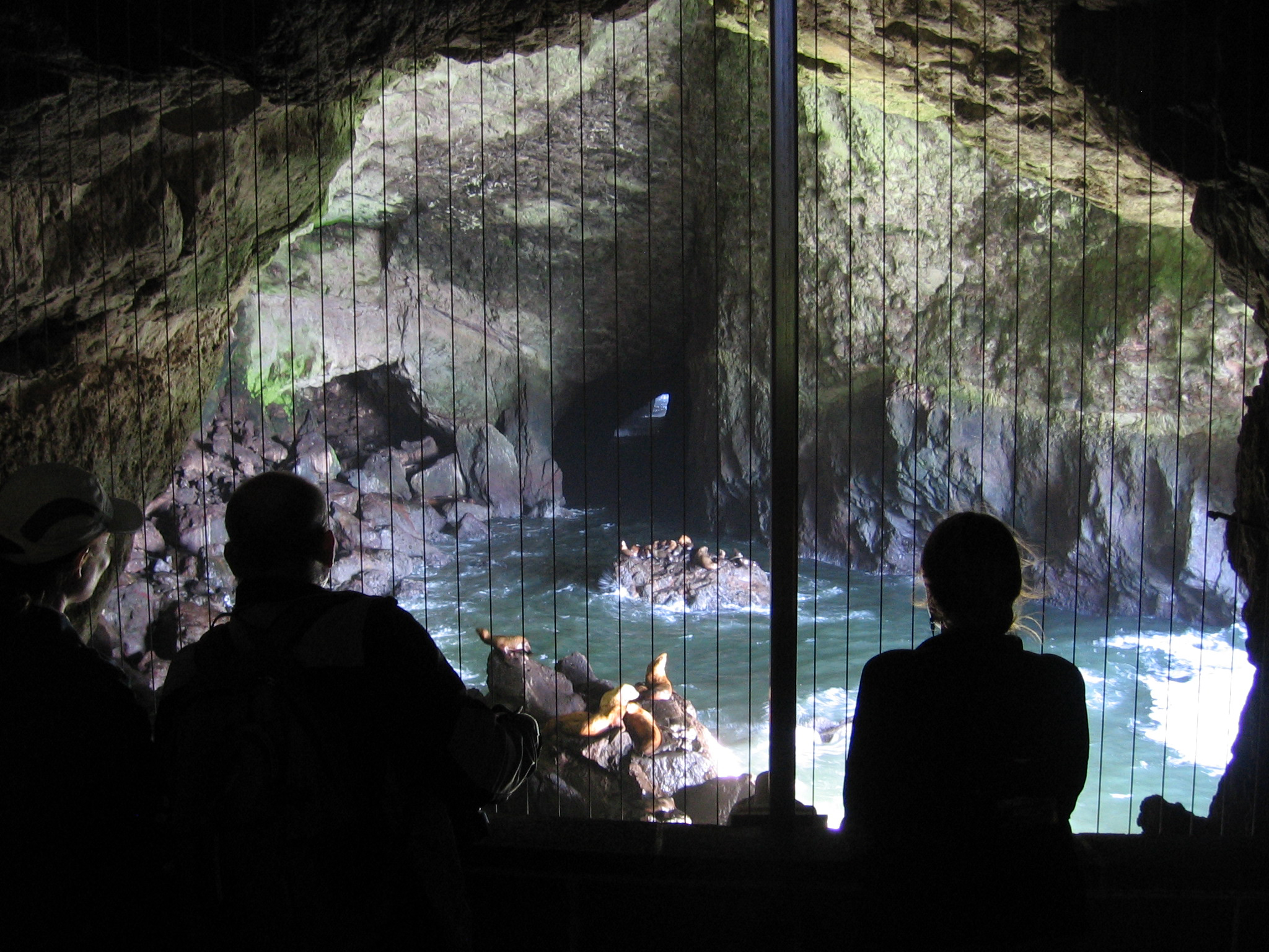 Sea Lion Caves, July 2011.