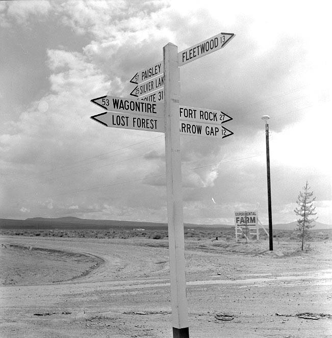 Ben Maxwell, photographer.