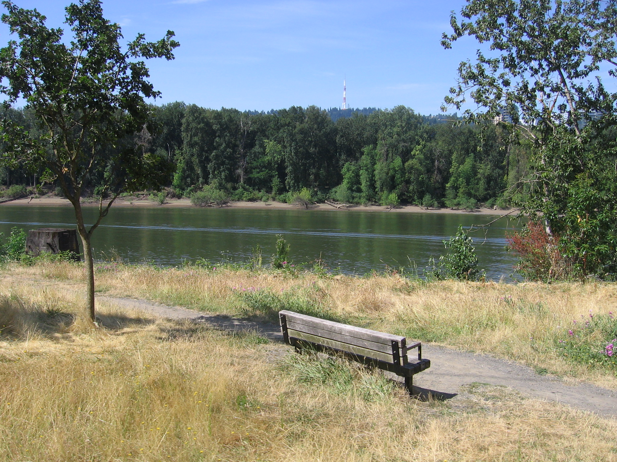 Willamette River seen from Springwater Corridor Trail, Aug. 21, 2011.