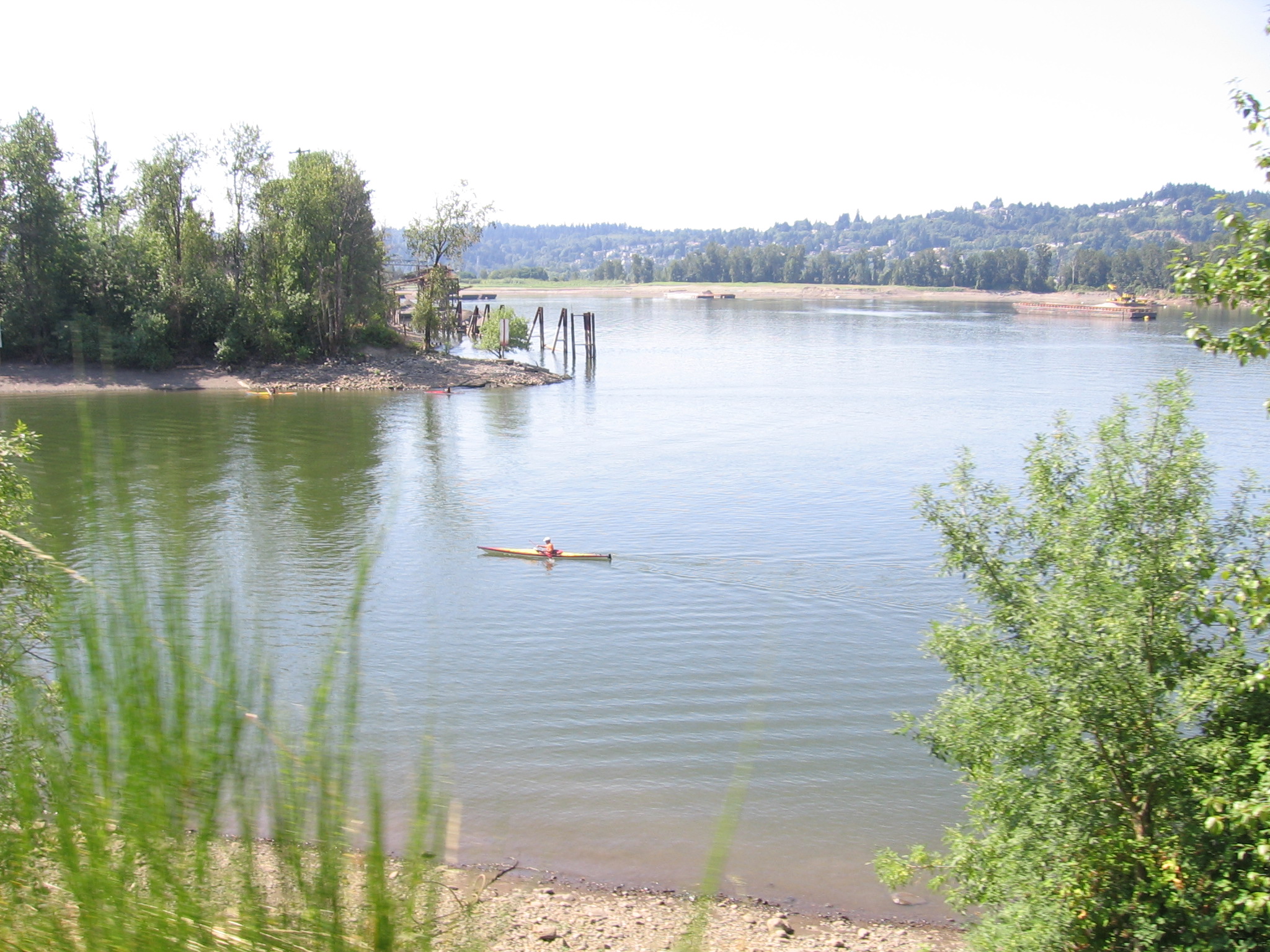 Willamette River seen from Springwater Corridor Trail, Aug. 21, 2011.