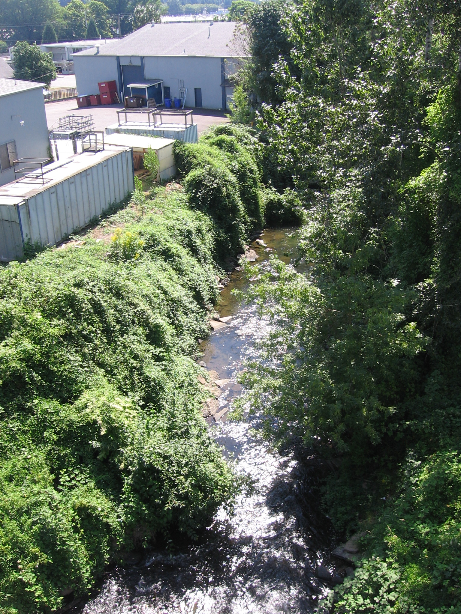 Johnson Creek, Portland, along Springwater Corridor Trail, Aug. 21, 2011.