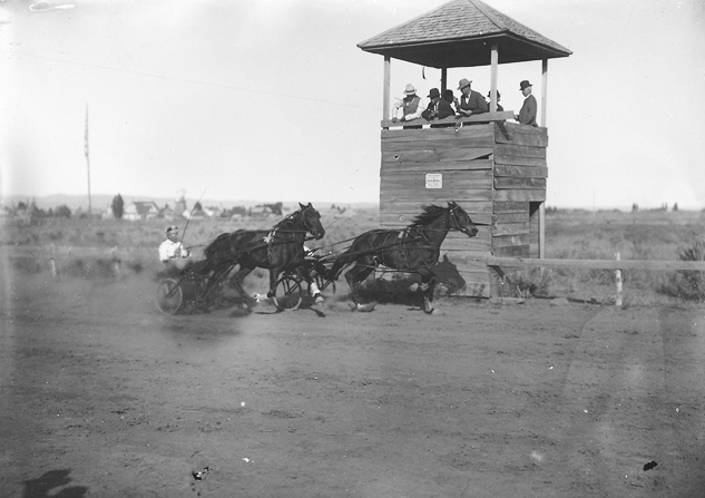 Horses jockey for position during race meet event.