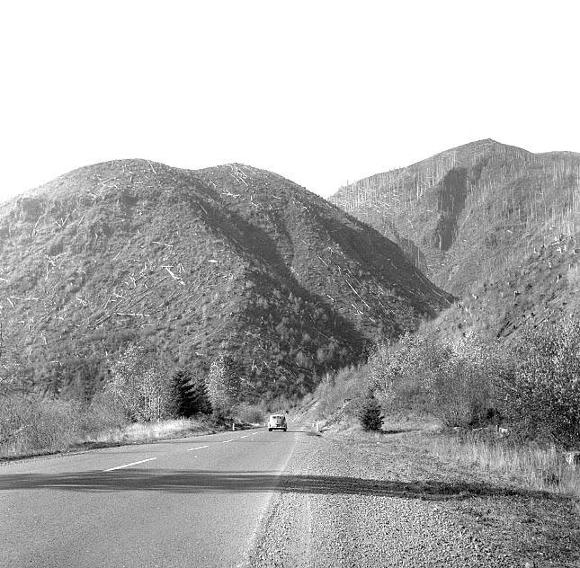 Ben Maxwell, photographer.