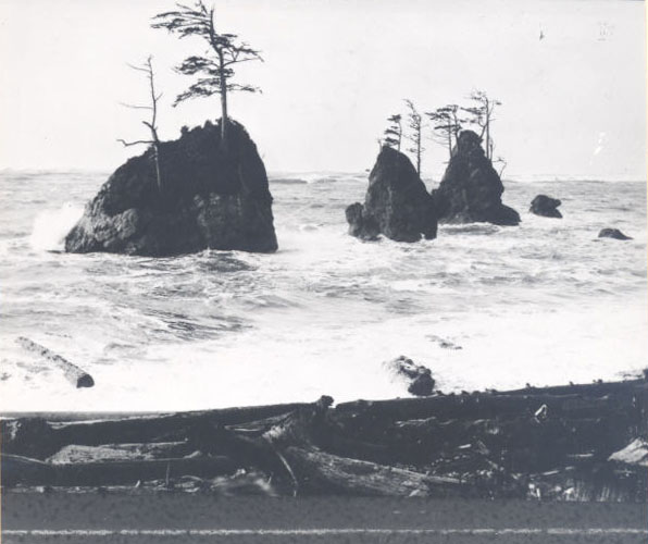 Tillamook Bay, from Coast Highway, 1929