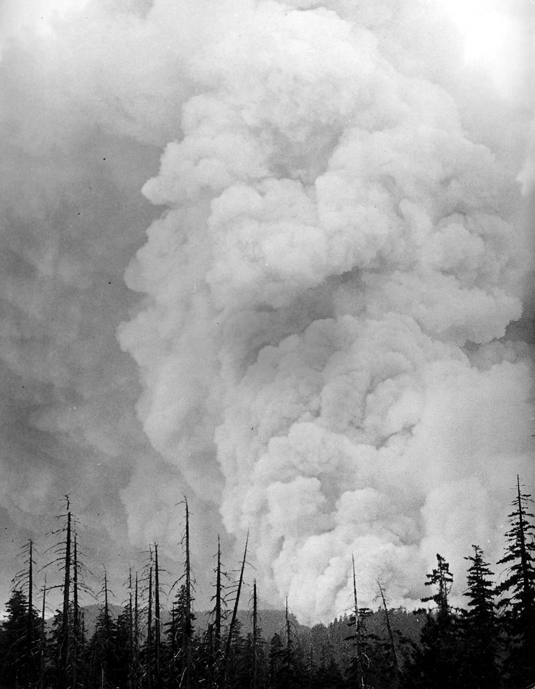 Tillamook Fire blows up, August 25, 1933. The smoke column rose eight miles high and was seen throughout western Oregon and Washington.