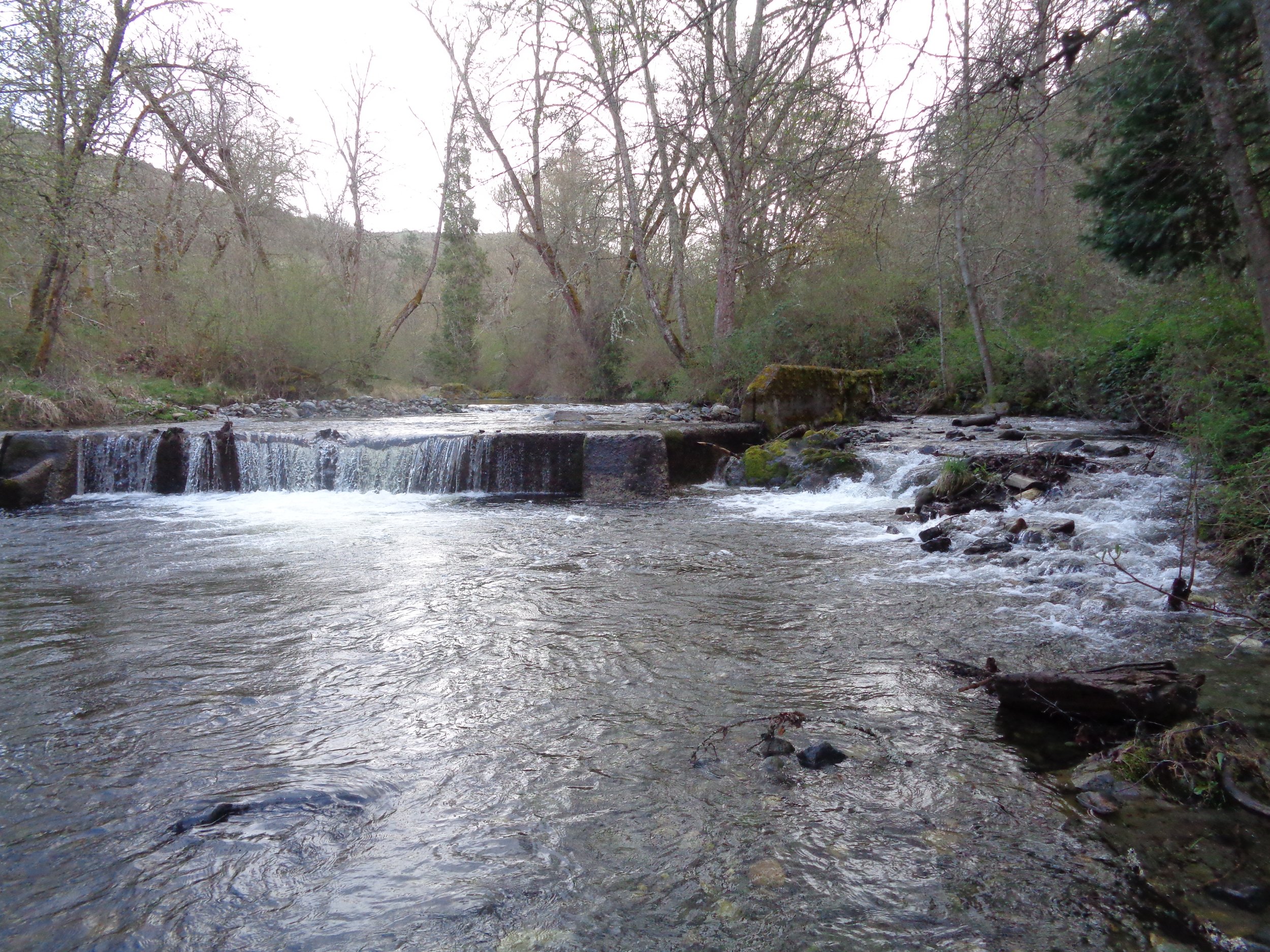 Little Applegate River, Ruch.