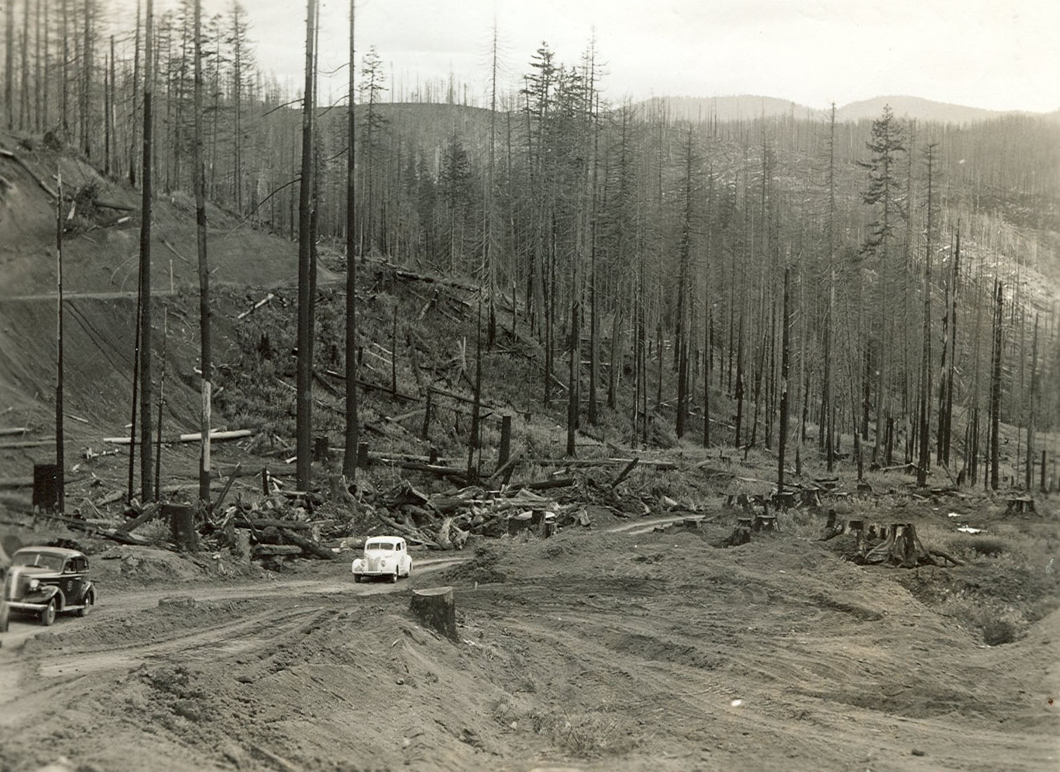 Number 35 from Series 1938, from “Wilson River and Wolf Creek” album, WPA Writers Project Series 4.