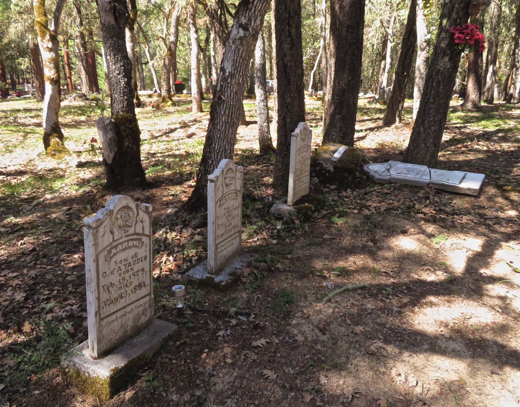 Yaudes was a merchant-miner. He was buried beside his three children who died of diphtheria within a 12-hour span in 1884.