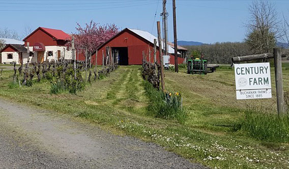 Buchanan Family Farm and Tyee Wine Cellars