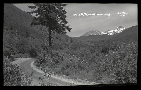 McKenzie Pass