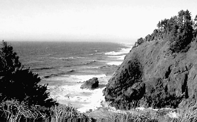 Cape Disappointment