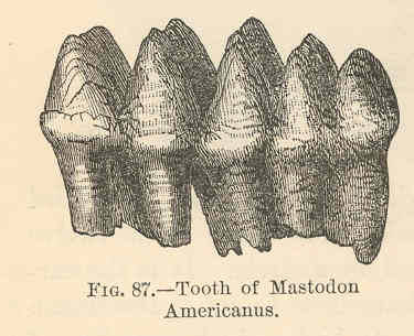 From Man and the Glacial Period, Fig.87, by Frederick G. Wright.