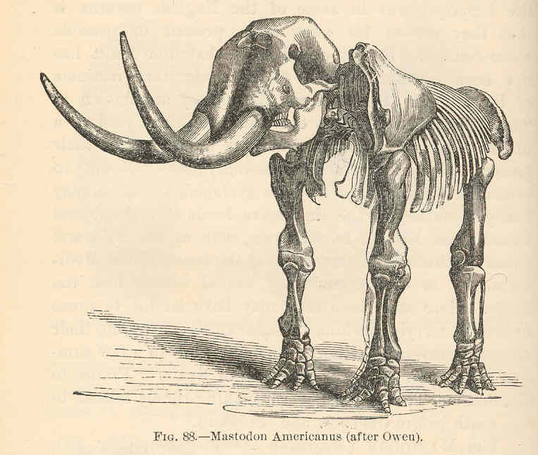 Mastodons in Oregon