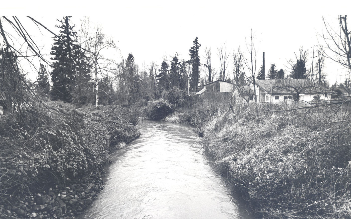 Johnson Creek, high water, 1982