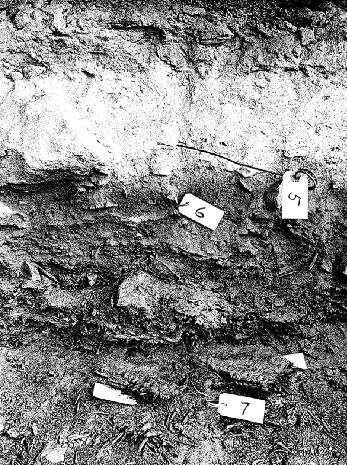 Upper layer: Volcanic ash, 7600 yrs ago; lower layer: sagebrush bark sandals