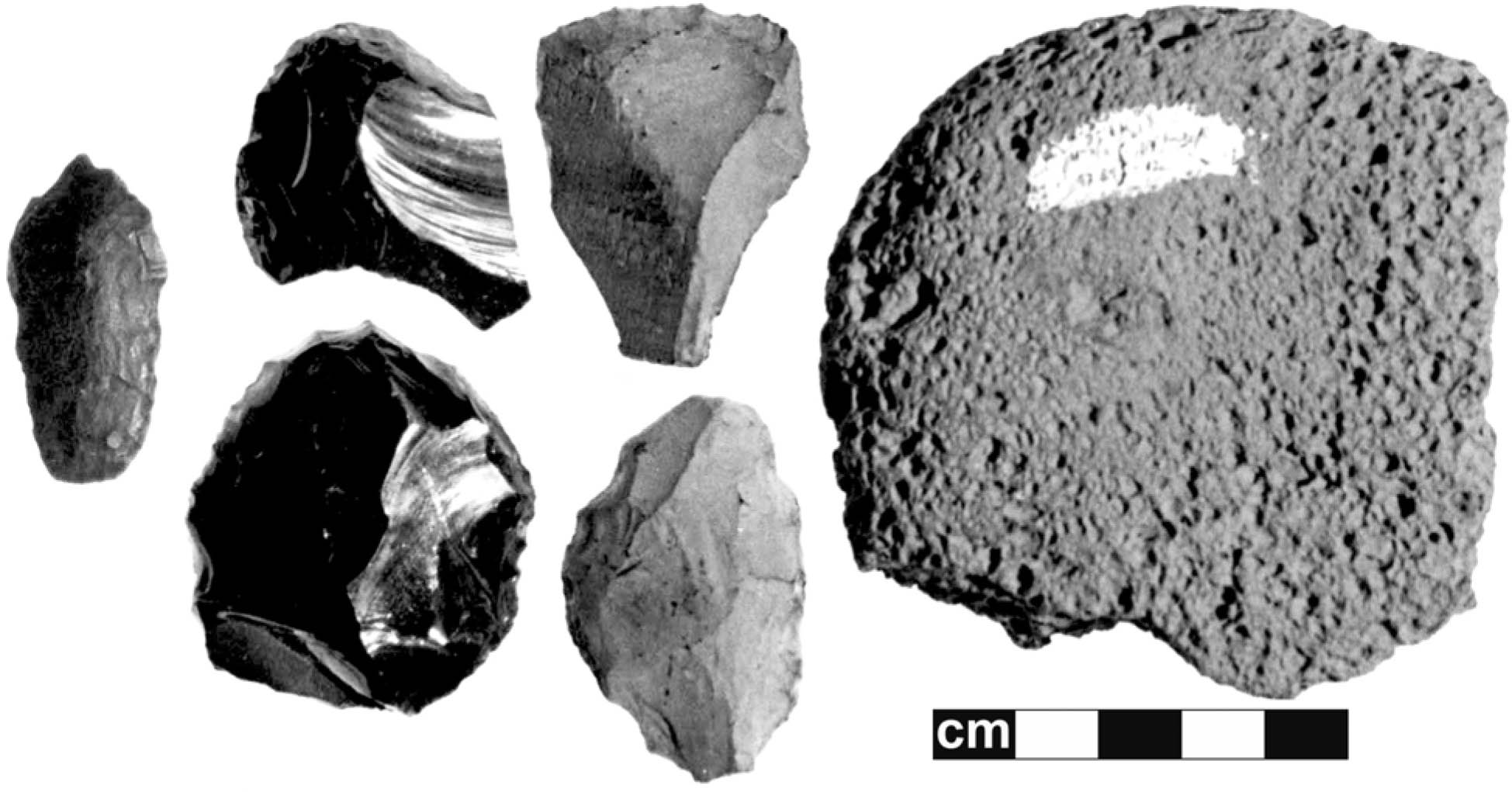 Early tools excavated from Fort Rock Cave