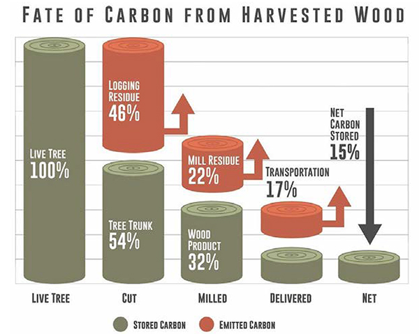 "Significant amounts of carbon are lost at each stage in timber harvest and processing....The forest stores and conserves carbon more effectively and for longer periods of time than do most products derived from harvested trees."