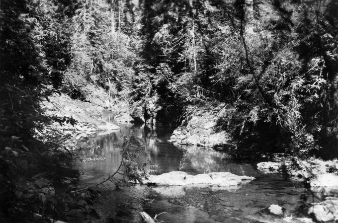 H.J. Andrews Experimental Forest