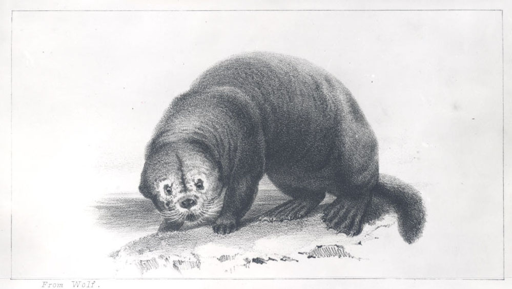 www.oregonencyclopedia.org