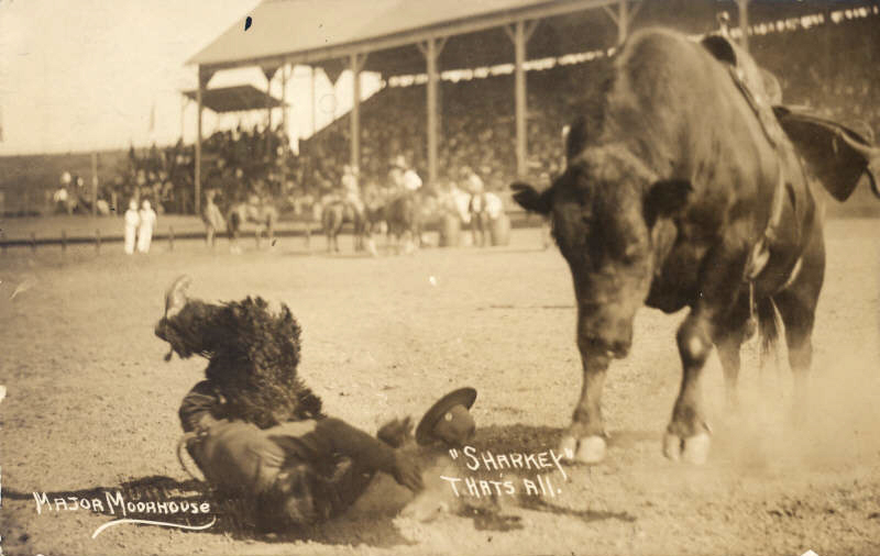 Sharkey was a notorious bull, famous for violently bucking off riders.