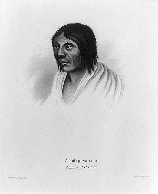 Dougal, William H., Engraver, Alfred T Agate, and Charles Wilkes.