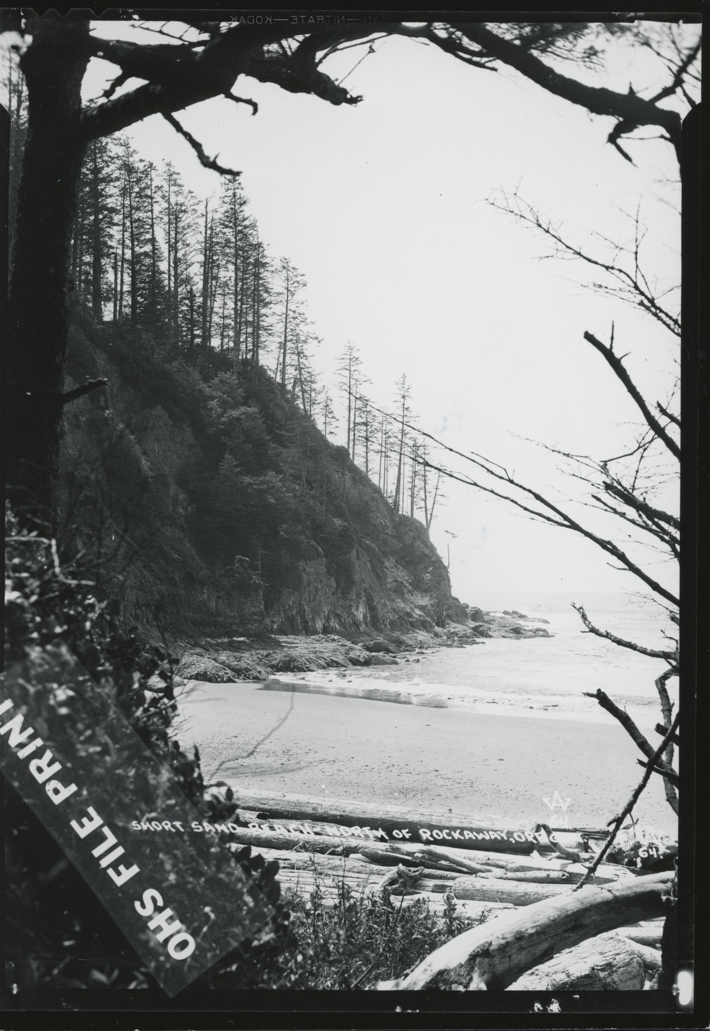 Oswald West State Park