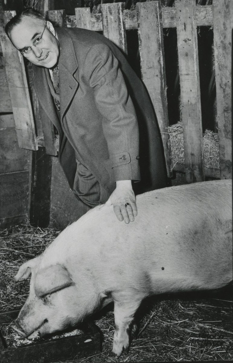 Snell won a pig from governor of Nebraska in war loan drive race