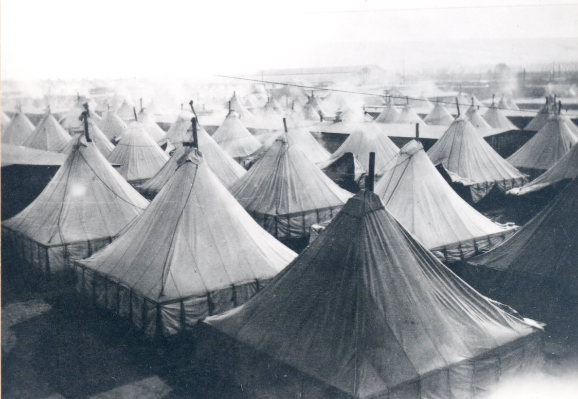 Spruce Production Division