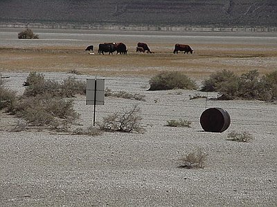 Alkali Lake Chemical Waste Disposal Site