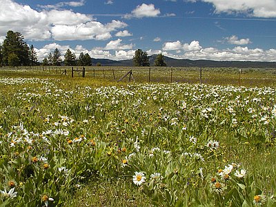 Big Summit Prairie